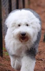 bubbie345.jpg